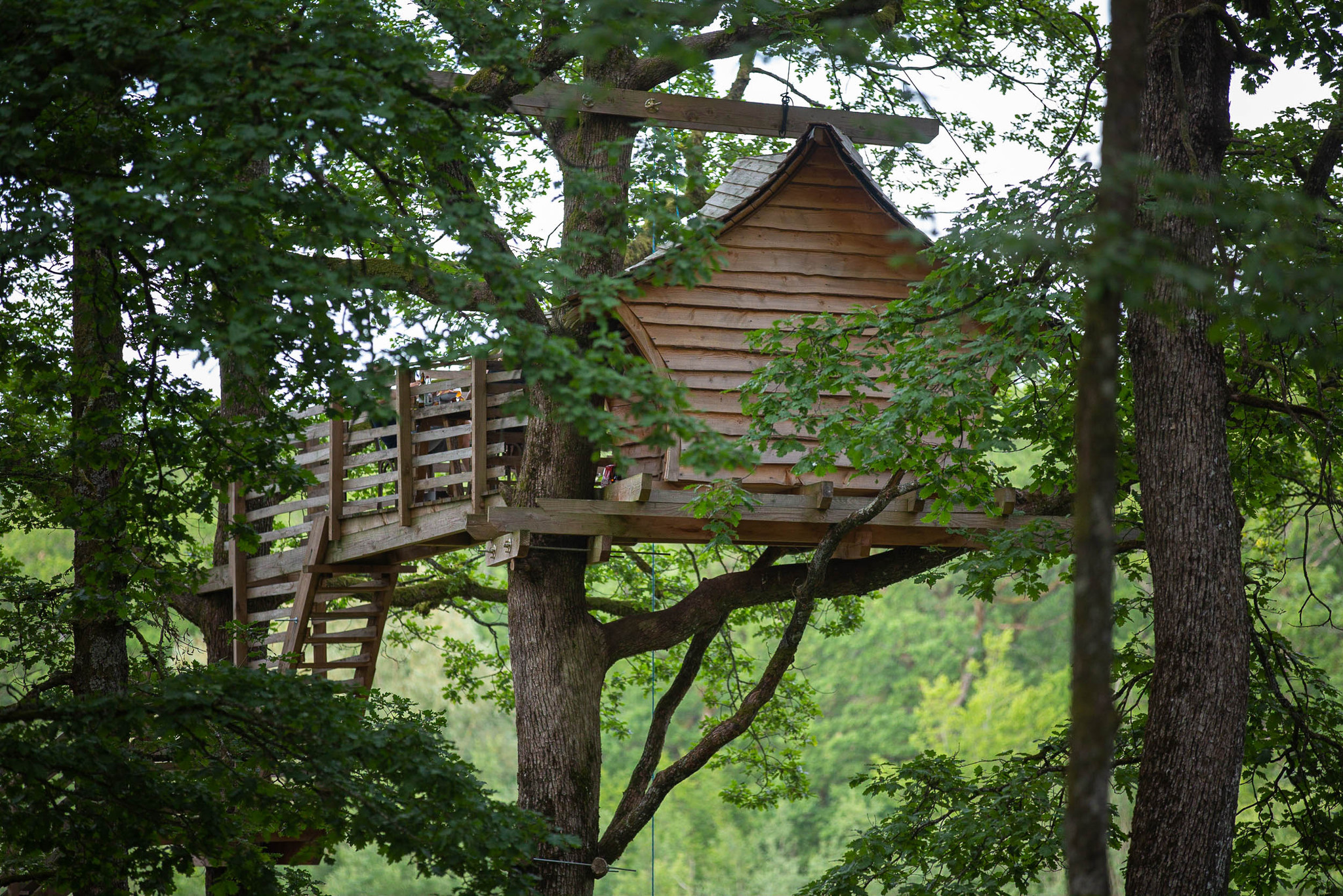 GreenGo location vacances écoresponsables