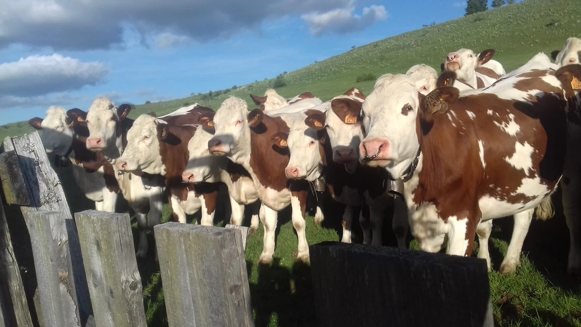 GreenGo Gîte Bourgogne-Franche-Comté Évasion