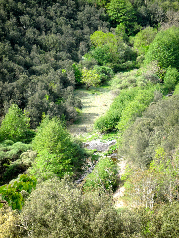 GreenGo La Petite maison-Varengeville sur Rieurord