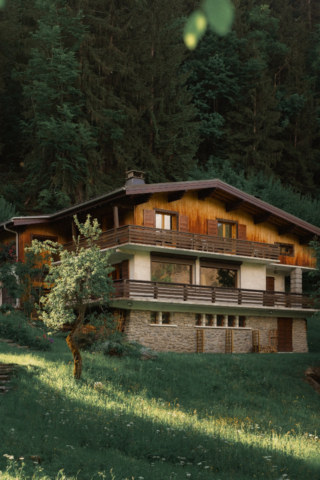 GreenGo Chambres d'hôtes dans un Chalet vintage face à la chaîne du Mont-Blanc