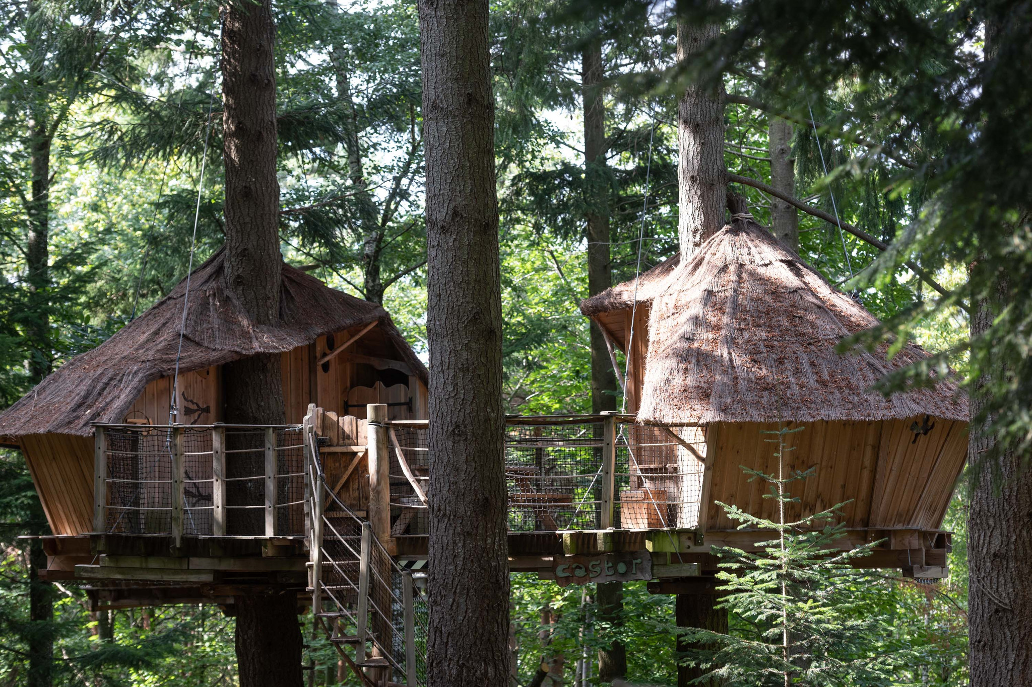 GreenGo location vacances écoresponsables