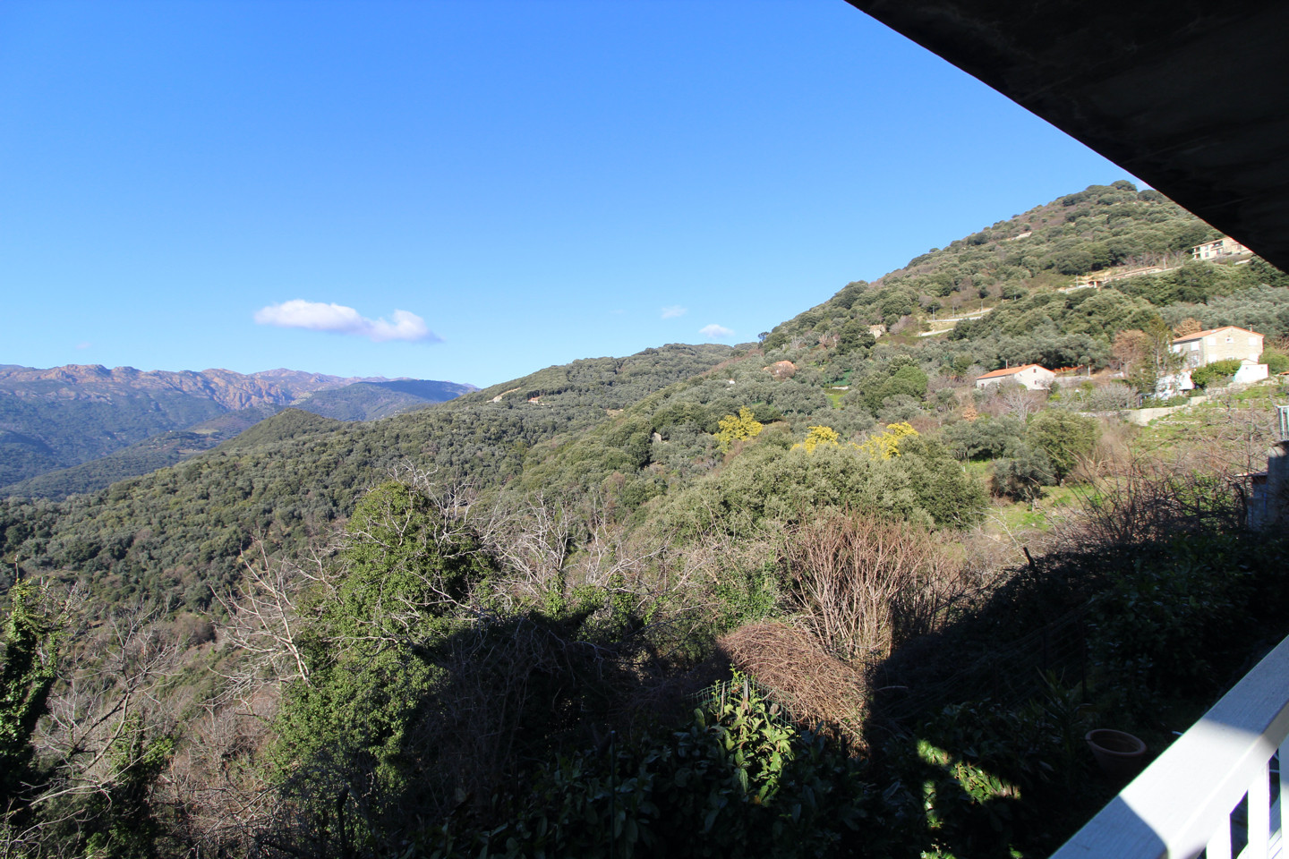 GreenGo Location Corse Évasion