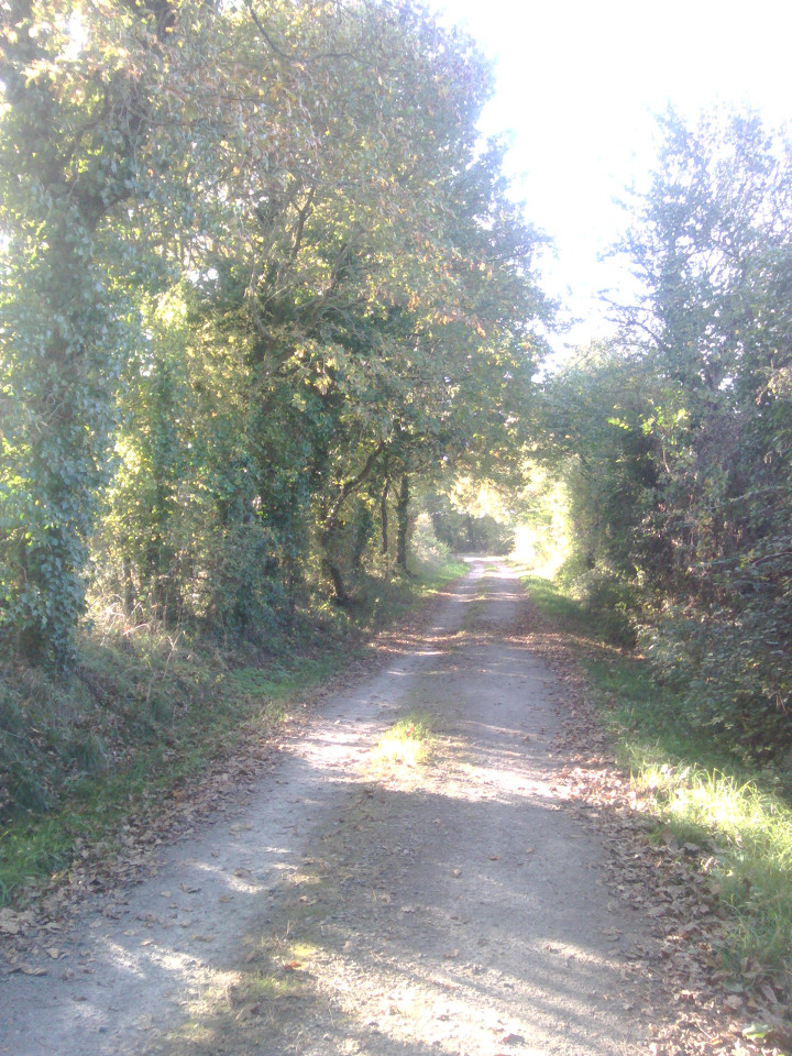 GreenGo Dinedort chambres d'hôtes