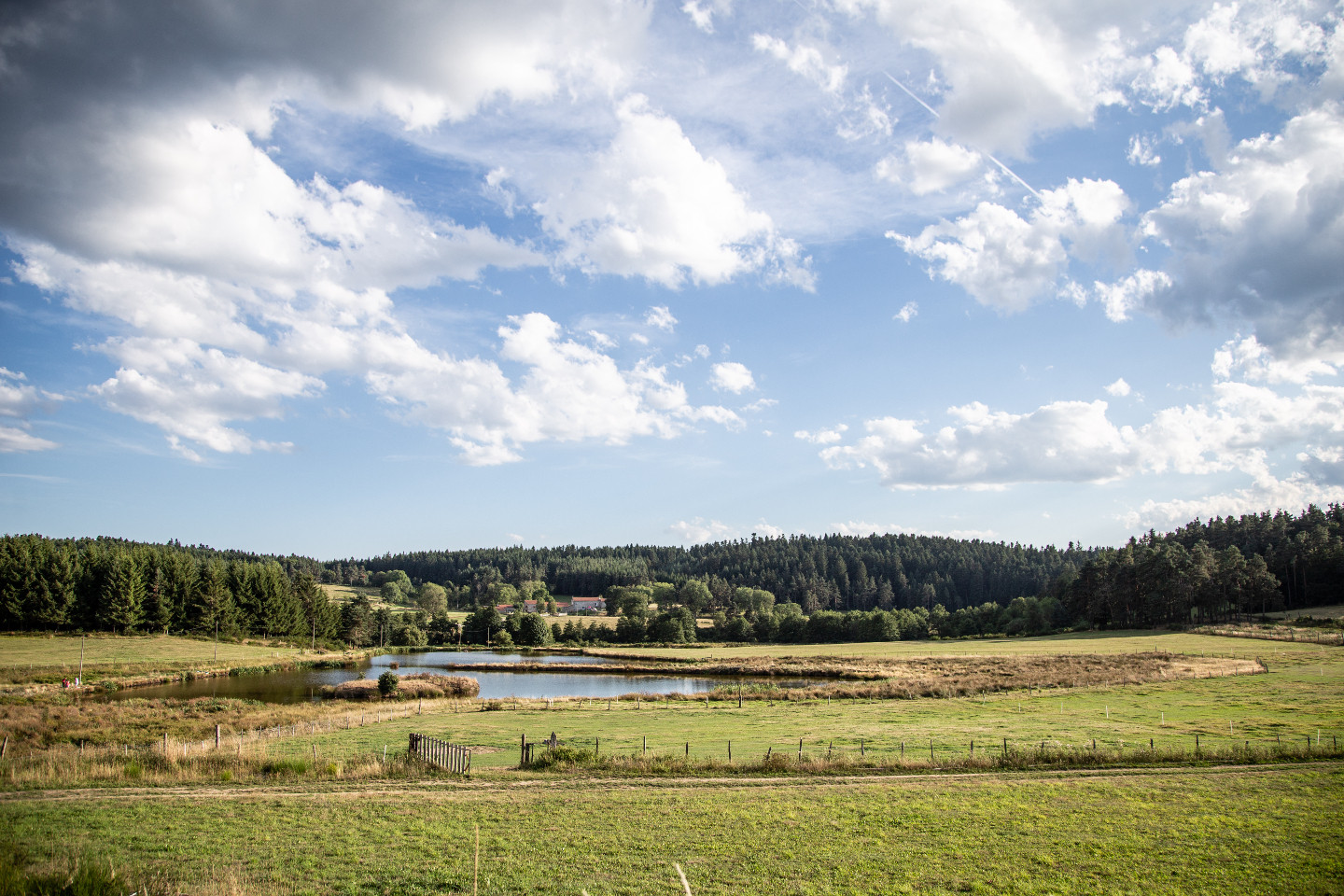 Hôte GreenGo: La ferme de vovady
