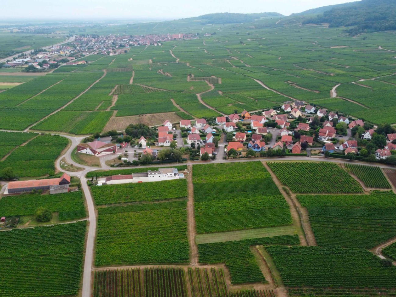 GreenGo Domaine Gueth - Vins d'Alsace et oenotourisme