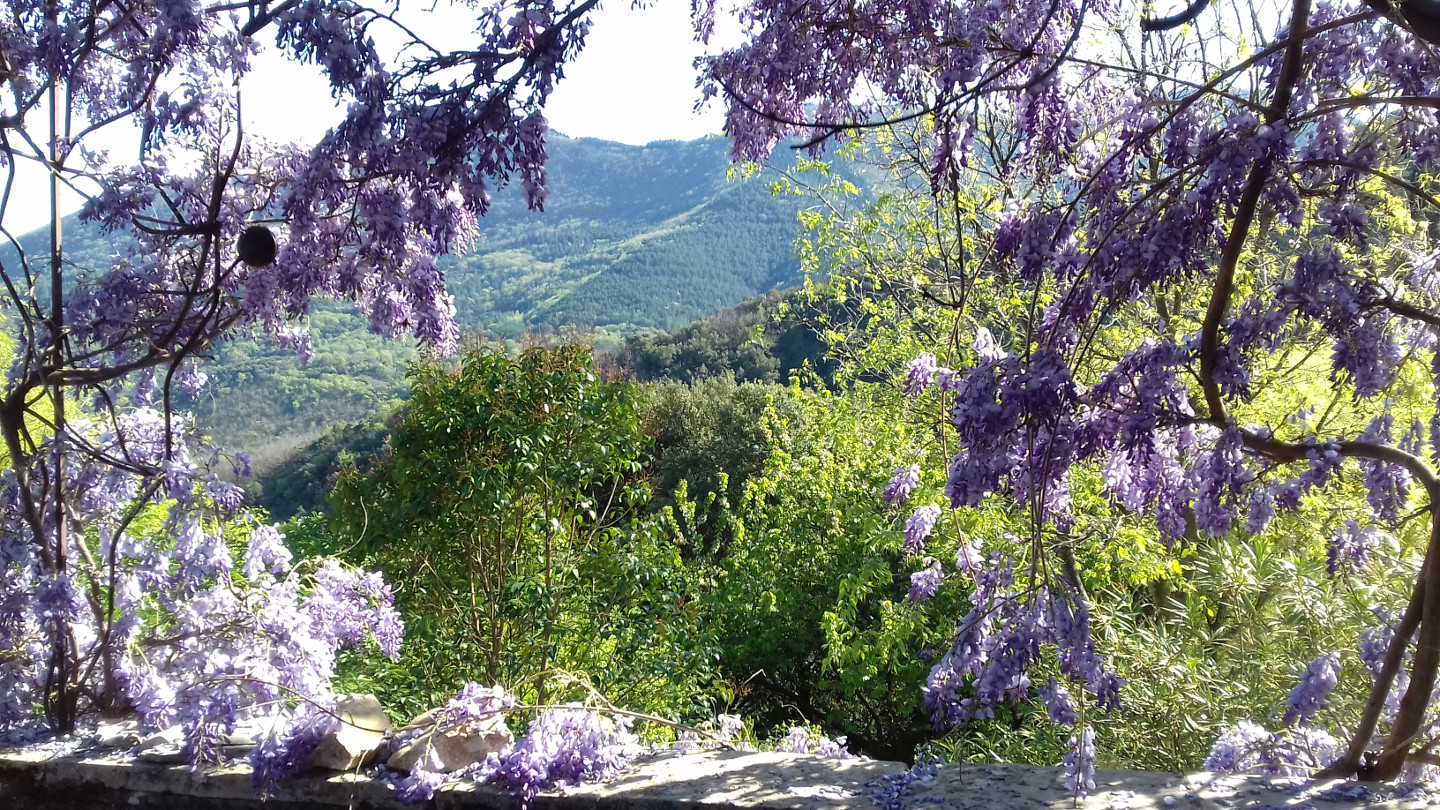 GreenGo location vacances écoresponsables