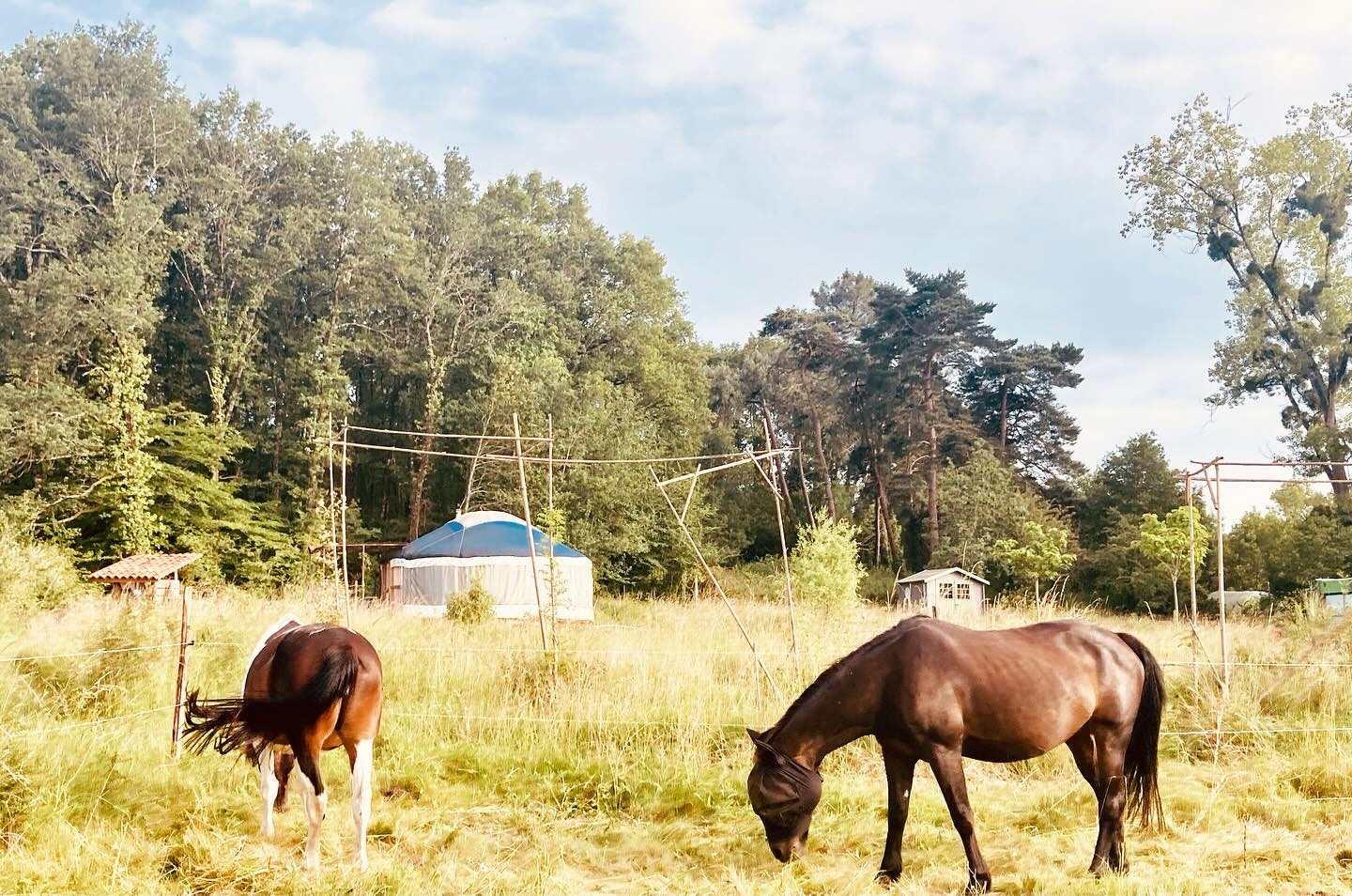 GreenGo Chambre d’hôtes Nouvelle-Aquitaine Évasion