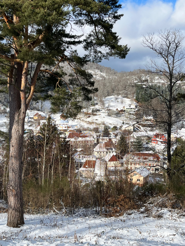 Location Haut-Rhin Haut-de-gamme