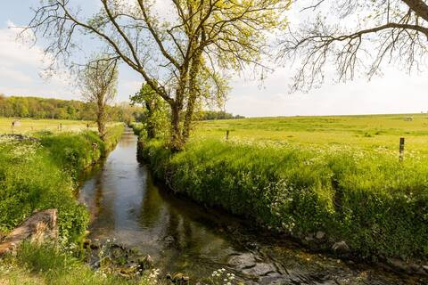 Yvelines À la campagne