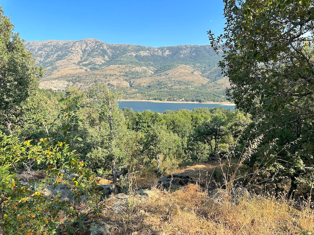 GreenGo location vacances écoresponsables