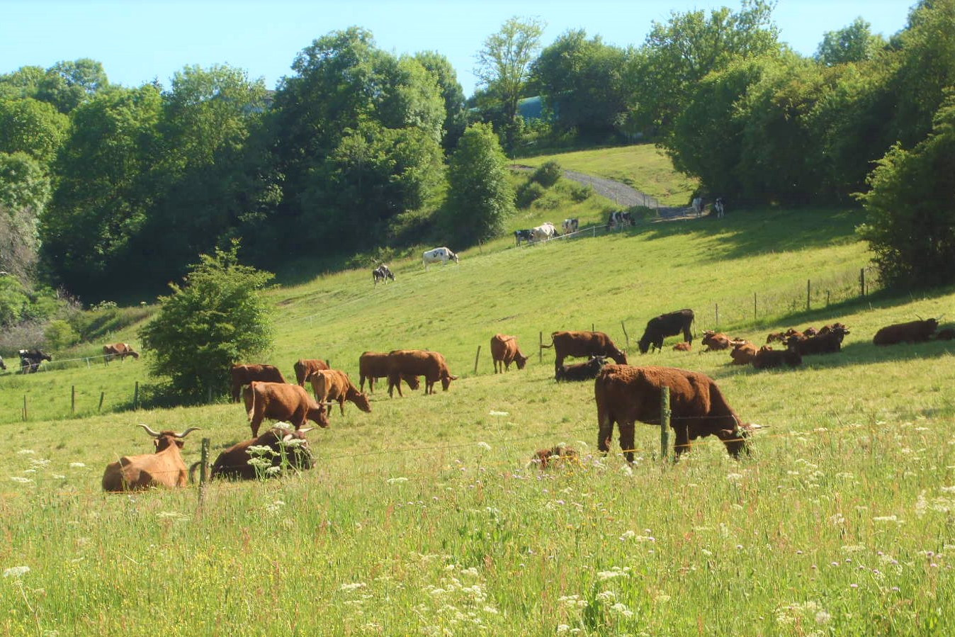 GreenGo Location Auvergne-Rhône-Alpes À la campagne