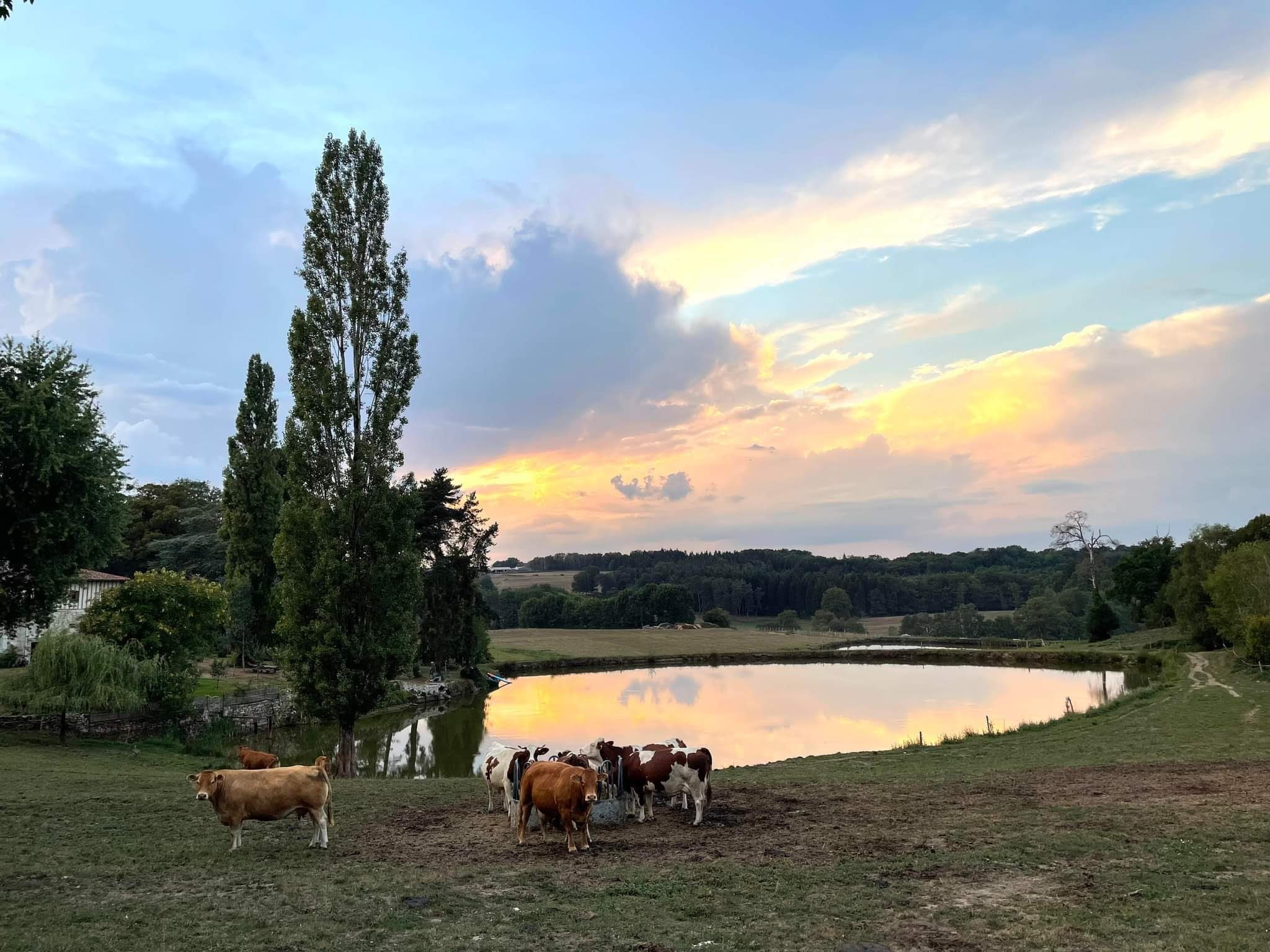  Haute-Vienne Haut-de-gamme