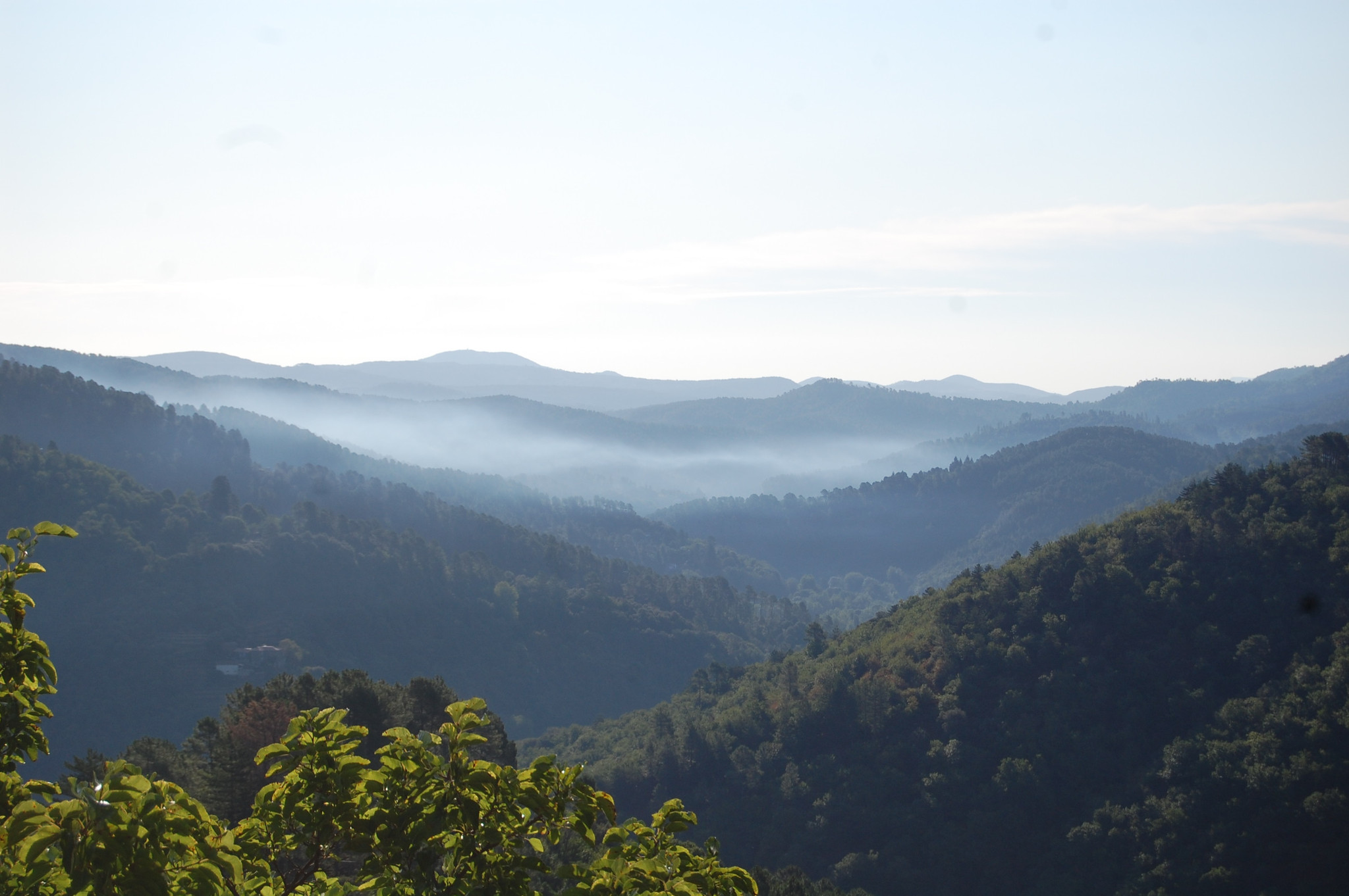 La vallée de Gaïa