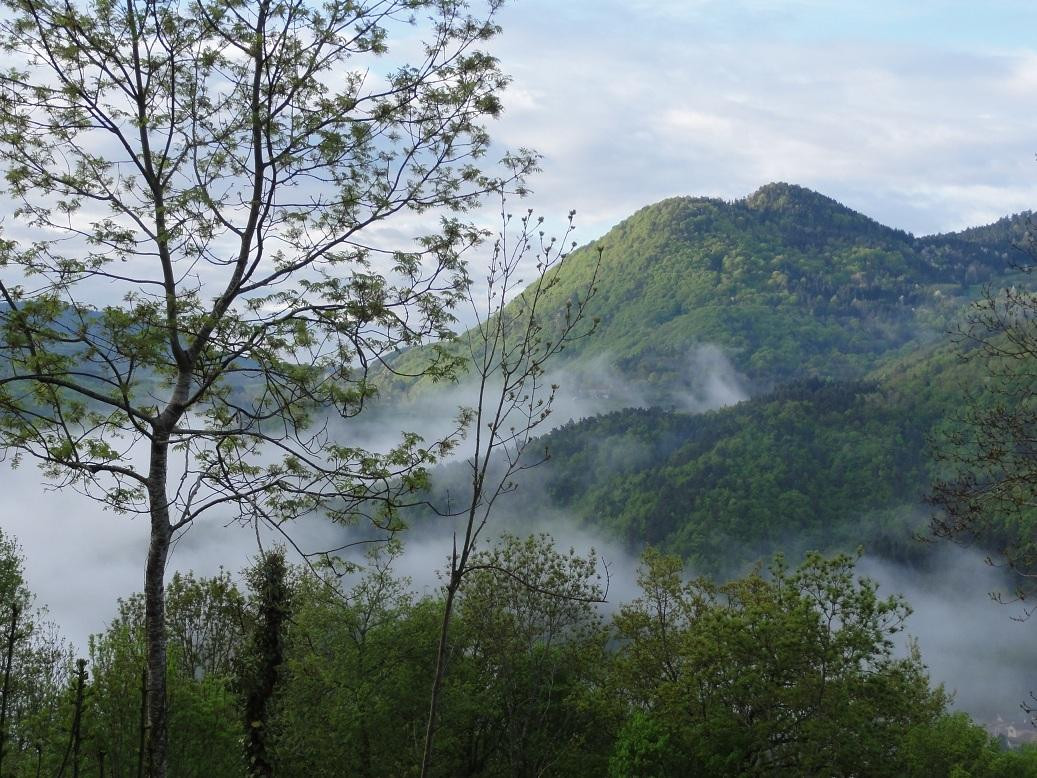 GreenGo Location Auvergne-Rhône-Alpes Évasion