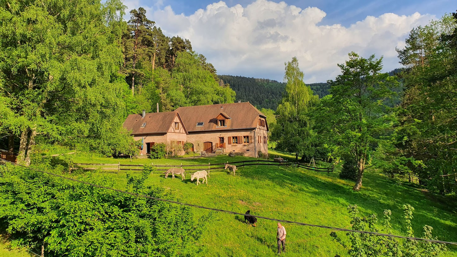 La ferme de la fontaine - Ferme de 1880 en grès rose en pleine nature au coeur de l'Alsace