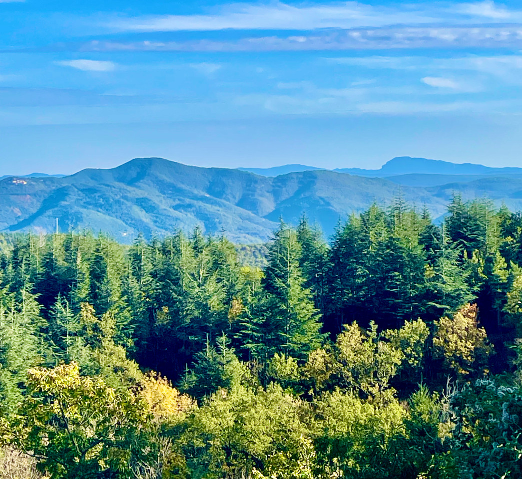 Les Vignals gîtes et événements Cévennes