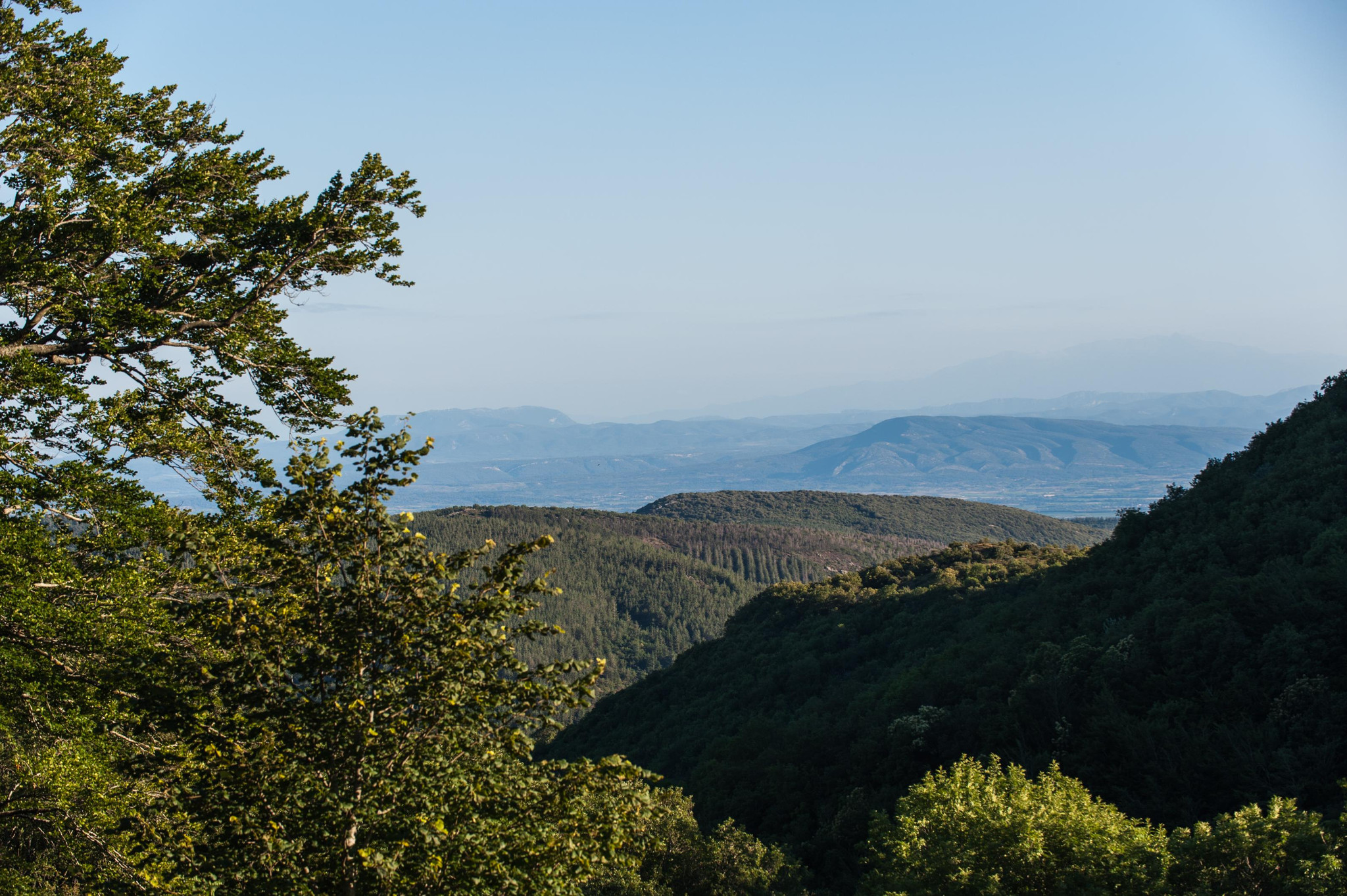 GreenGo Nature, fraicheur, silence et nuits étoilées