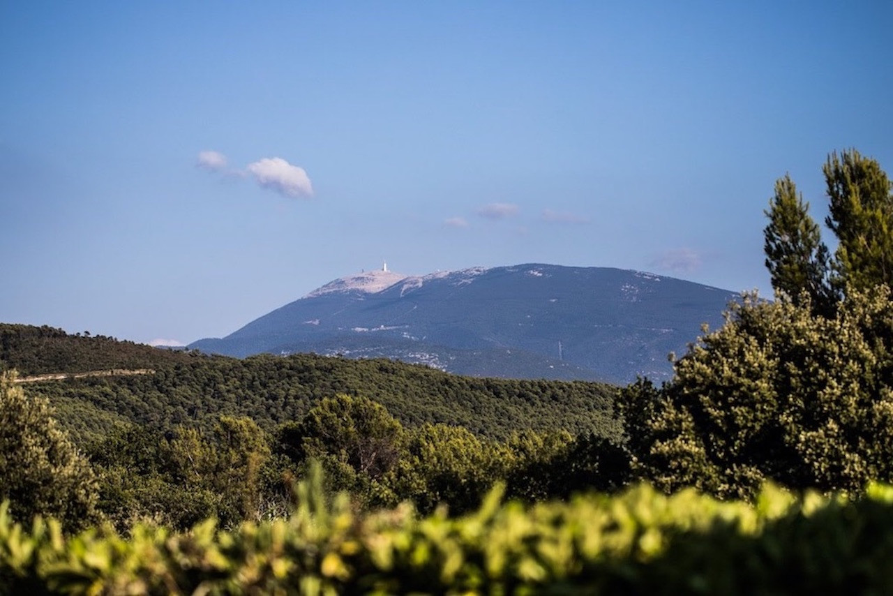  Vaucluse À la campagne