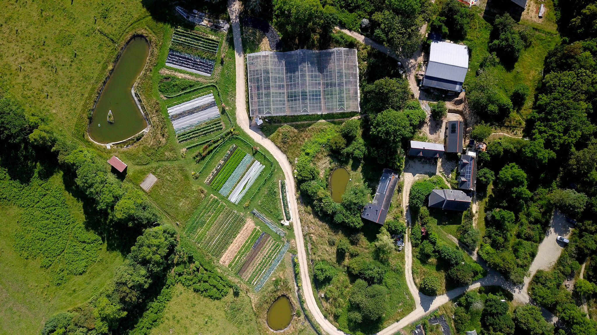 GreenGo Ecolieu demain en main