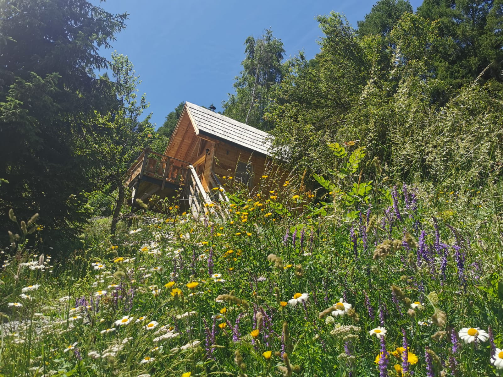 GreenGo Logement insolite Provence-Alpes-Côte d'Azur Évasion