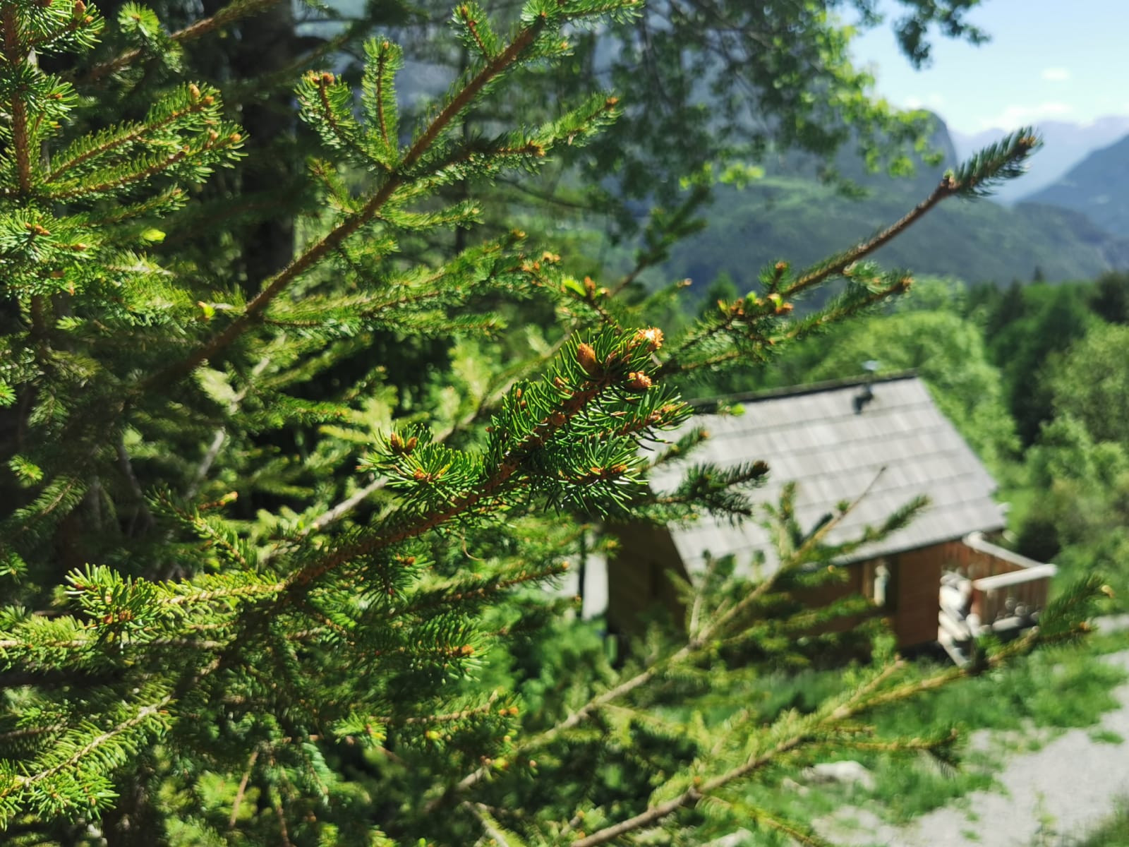 GreenGo location vacances écoresponsables