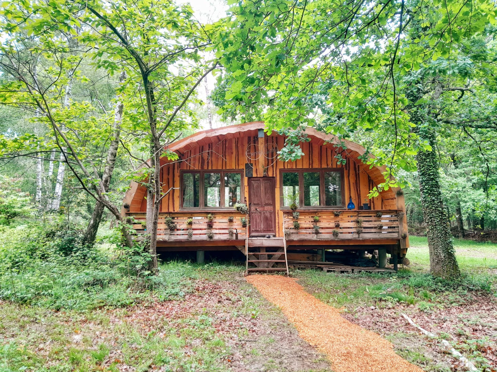 GreenGo Home des bois