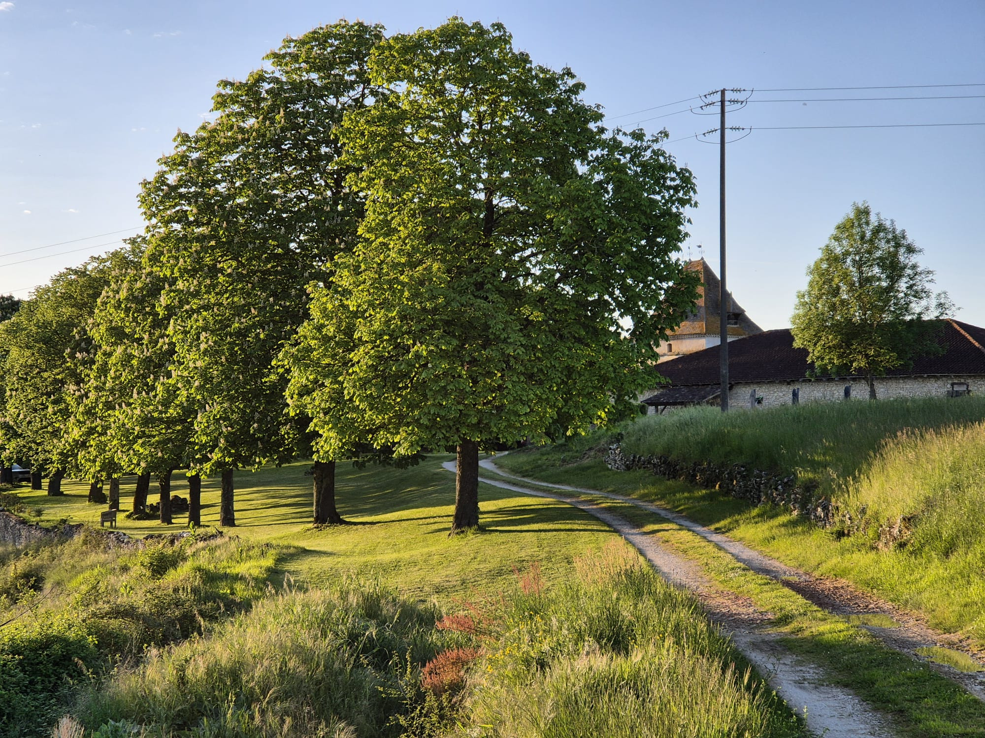 Location Lot-et-Garonne À la campagne