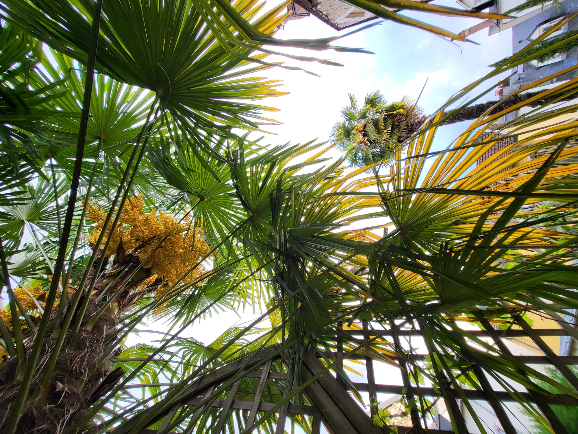 GreenGo location vacances écoresponsables