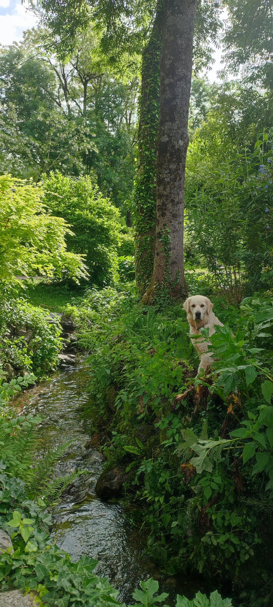 GreenGo Le Moulin, gîtes nature et accueil de groupes
