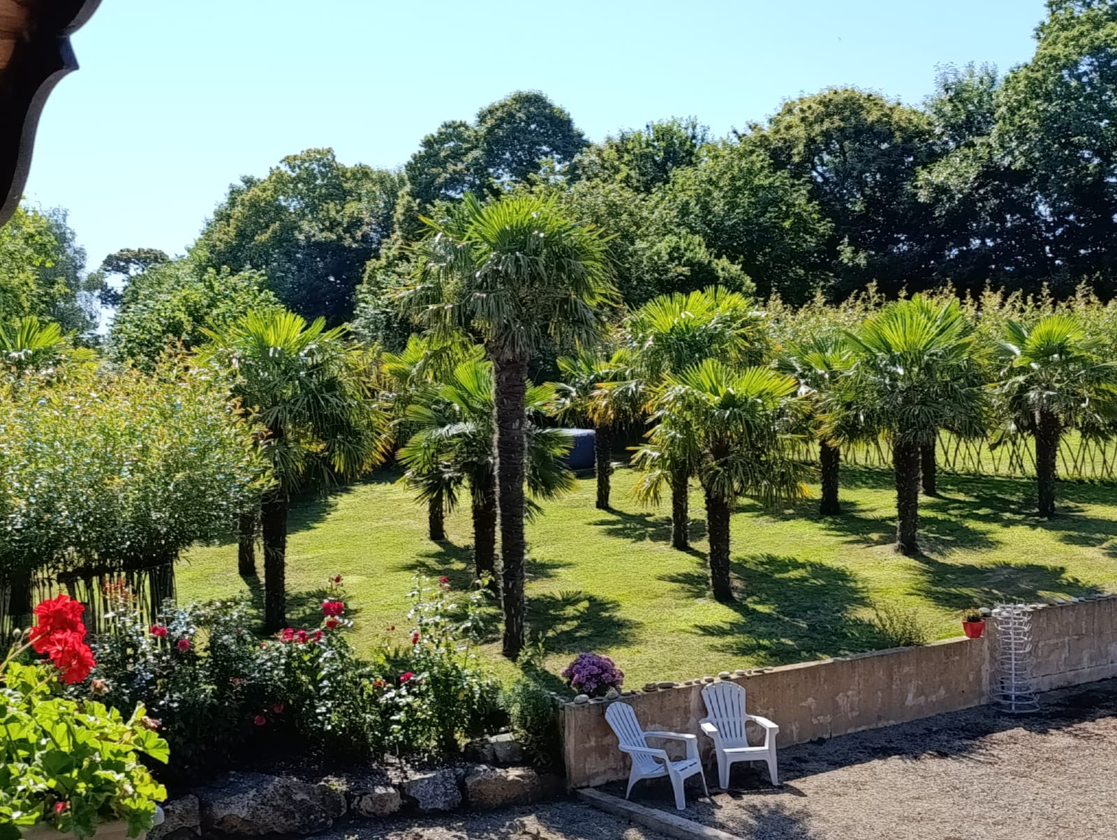 Hôte GreenGo: La Palmeraie