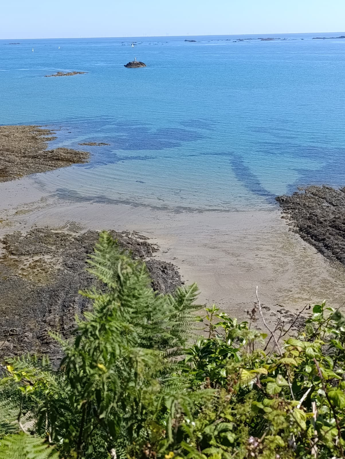 GreenGo location vacances écoresponsables