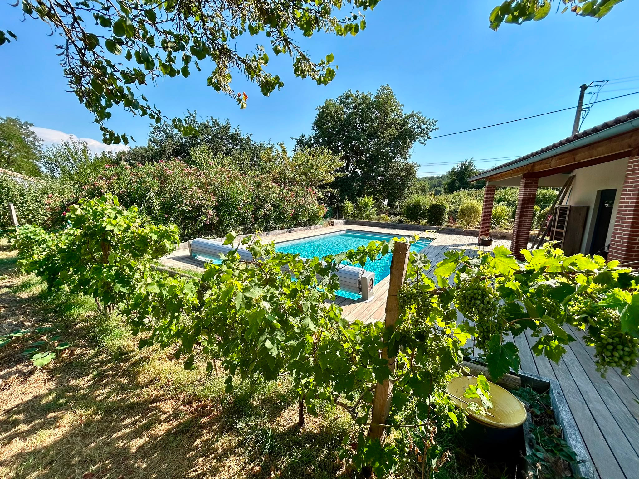 Ô Potager des Candides