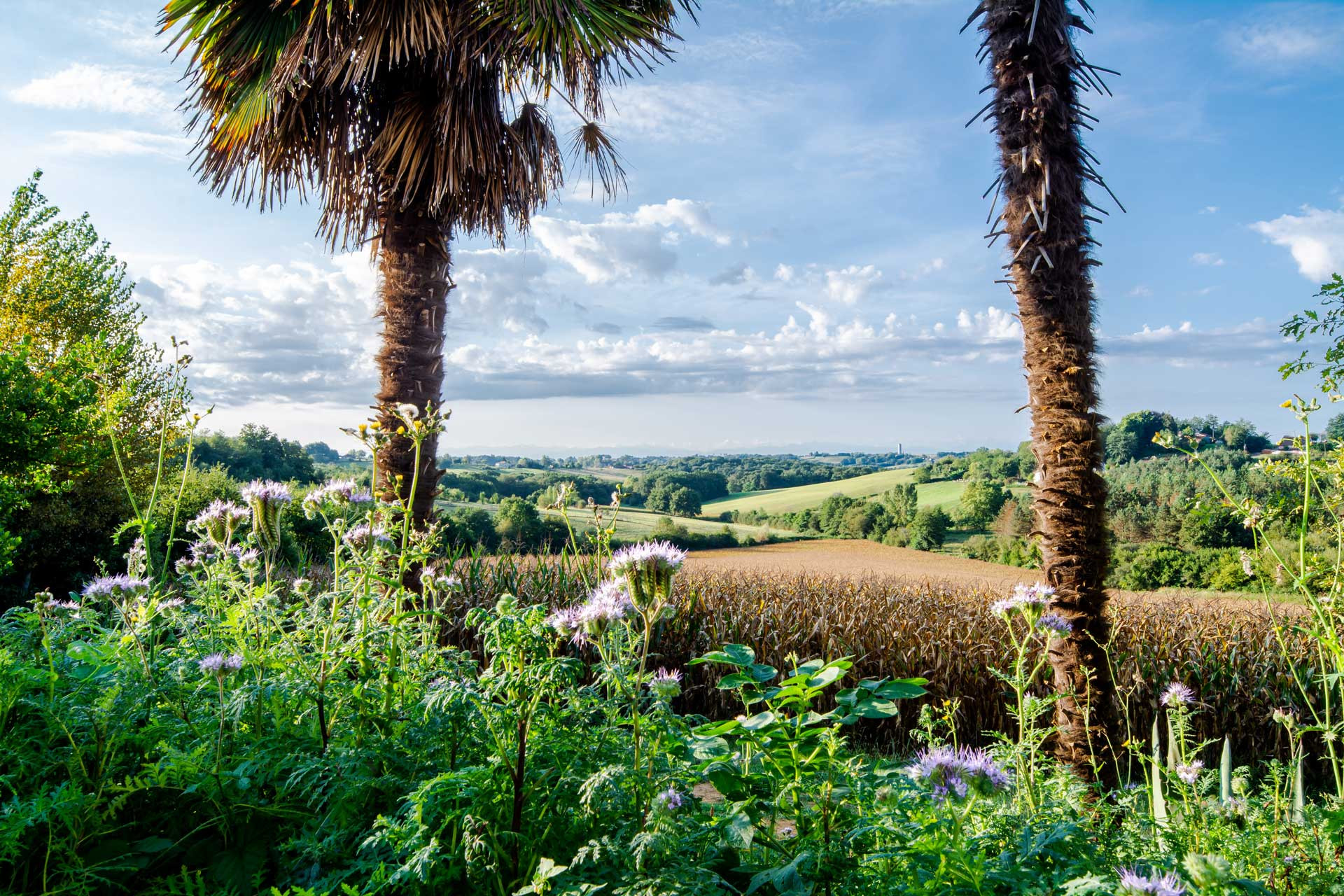  Landes À la ferme