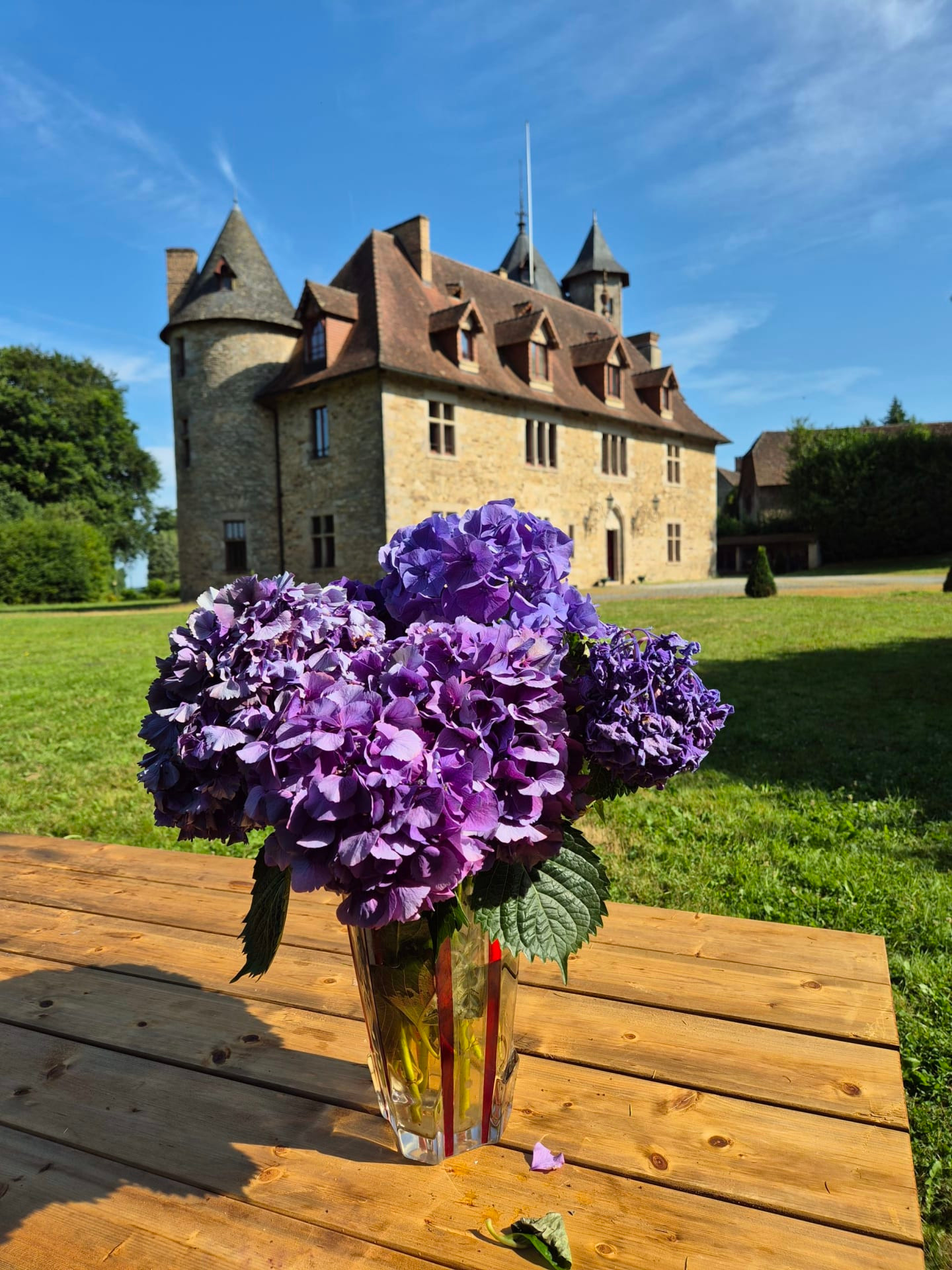 GreenGo Domaine de Montintin