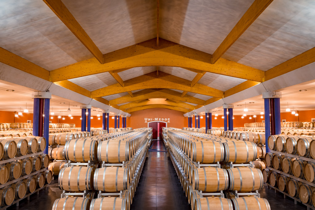 Visite du vignoble et dégustation