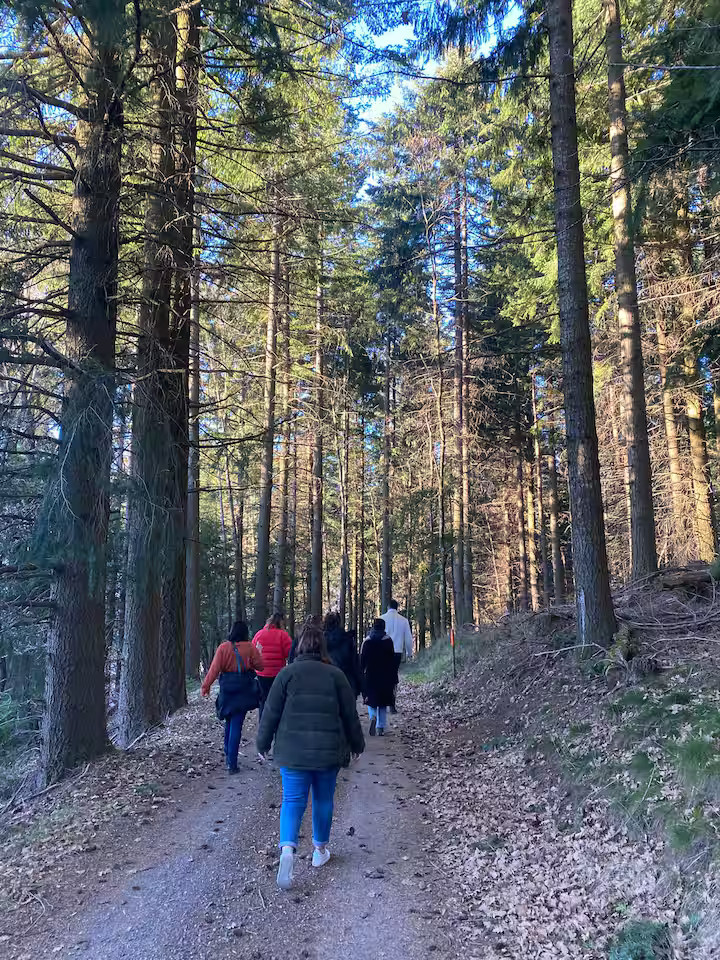 Randonnées au départ du gîte, 40HA de forêts