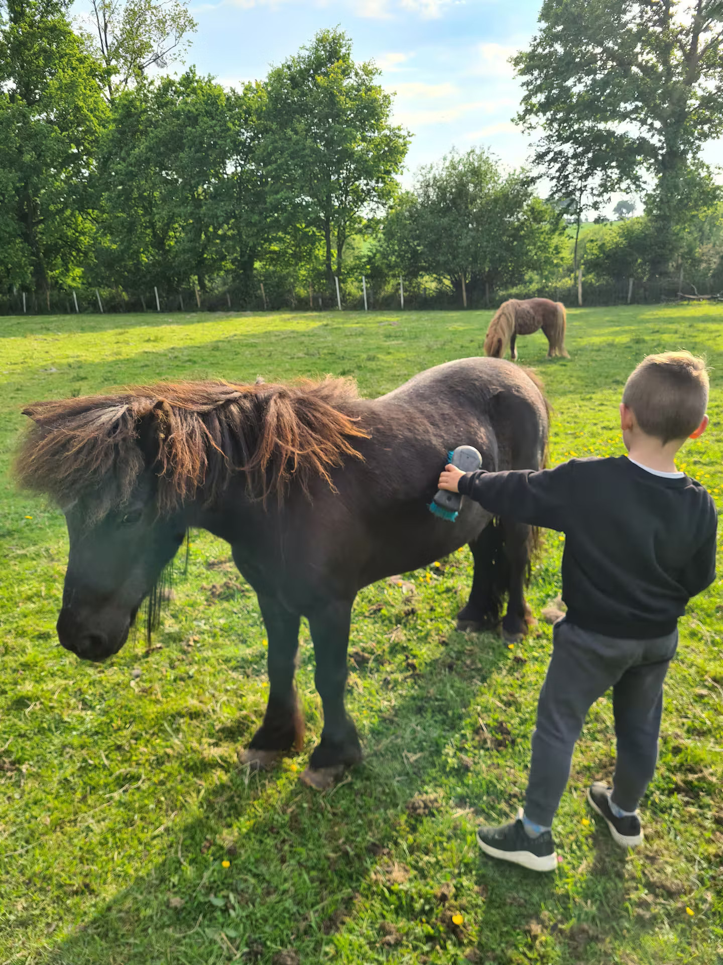 Séjour au cœur d’une ferme pédagogique avec animaux