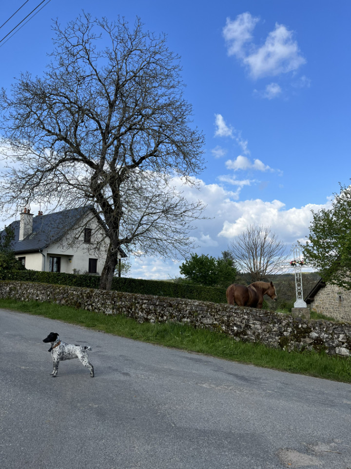 Dans un hameau au coeur d'une ferme
