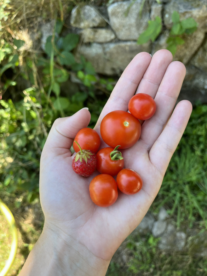Notre petit jardin
