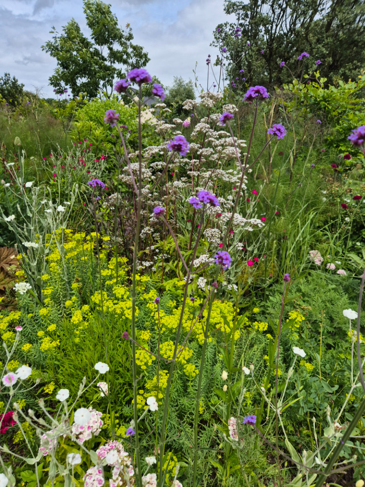 Jardin extraordinaire fait par un passionné