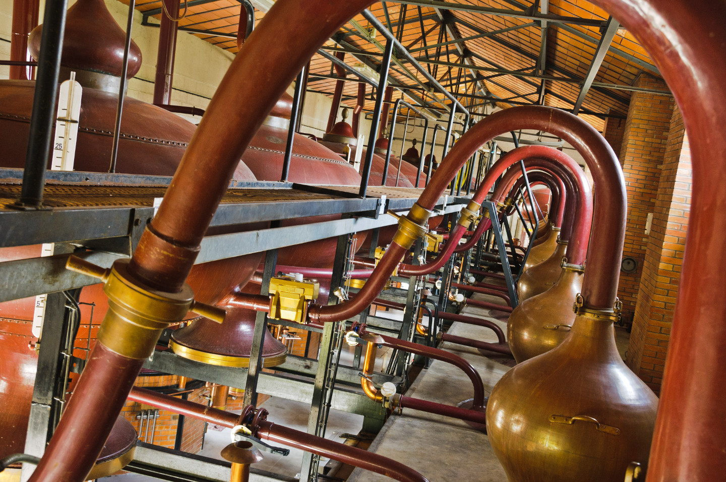 Visite des chais et degustation de Cognac