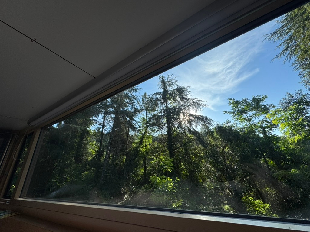 Réveillez vous dans la nature en bordure de forêt
