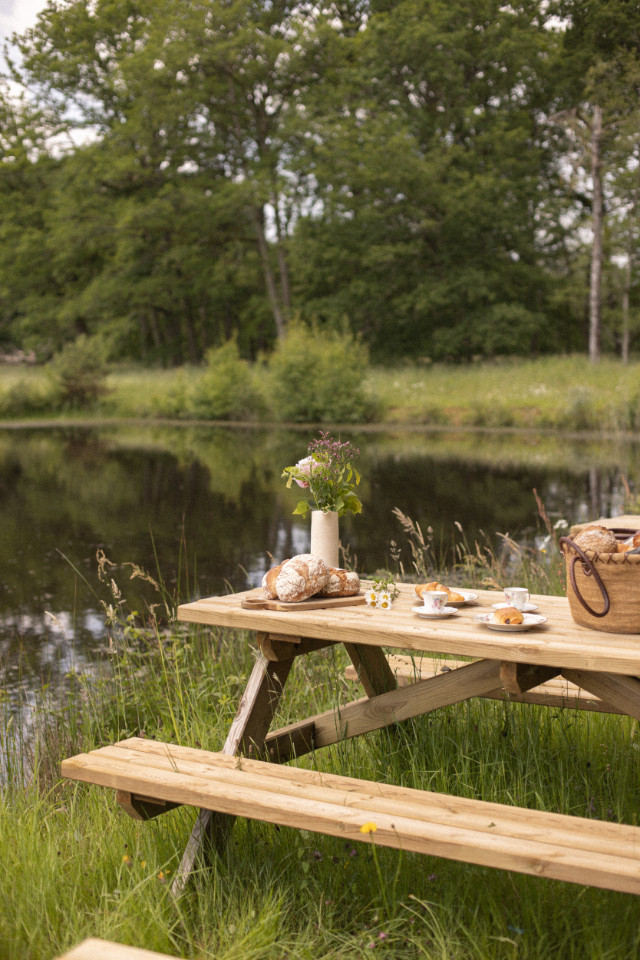 La forêt dans notre jardin