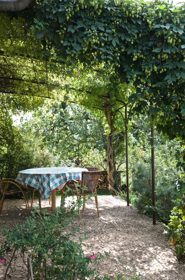 la terrasse et le jardin