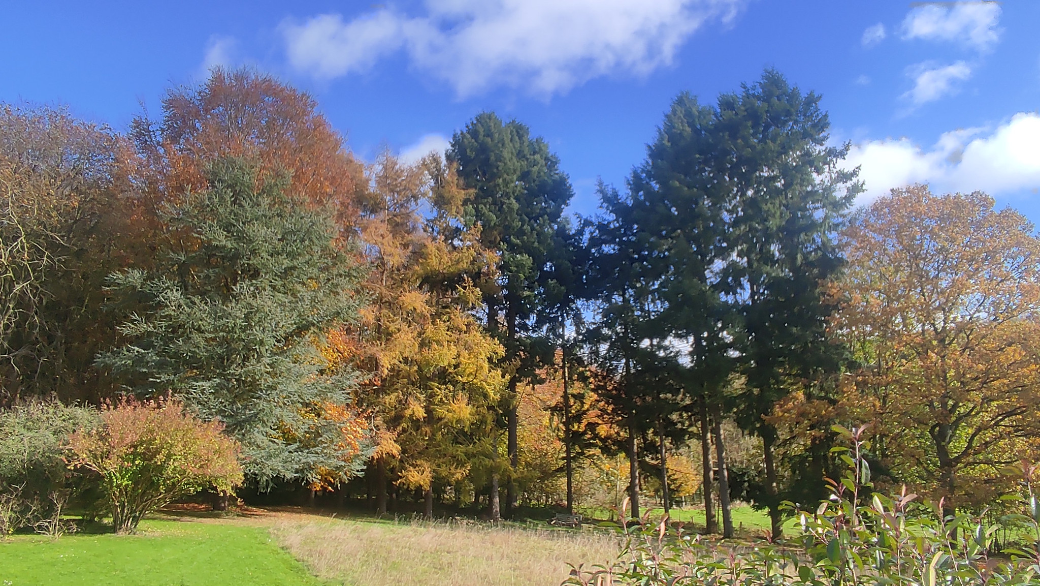 Au calme absolu dans un grand parc arboré