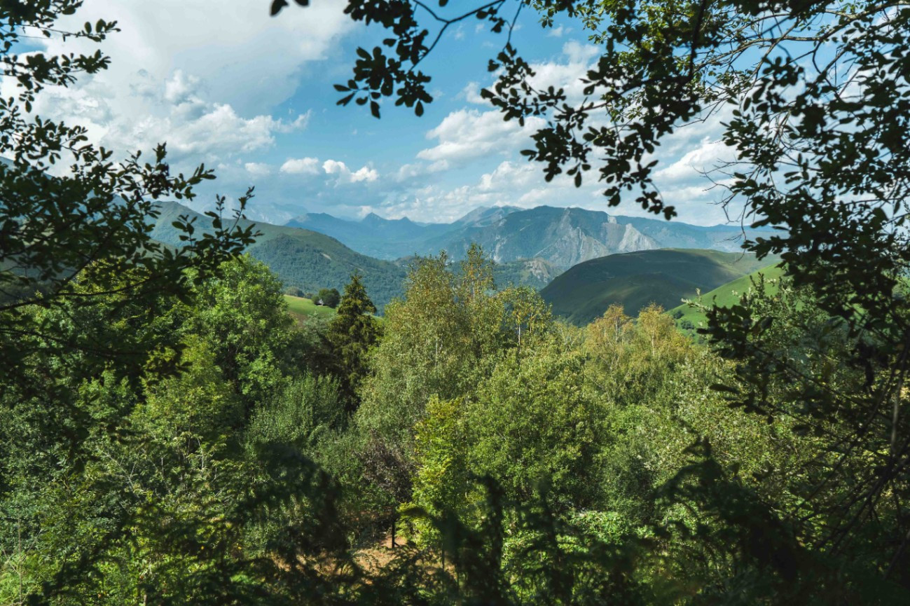 Sentiment de bout du monde en pleine nature