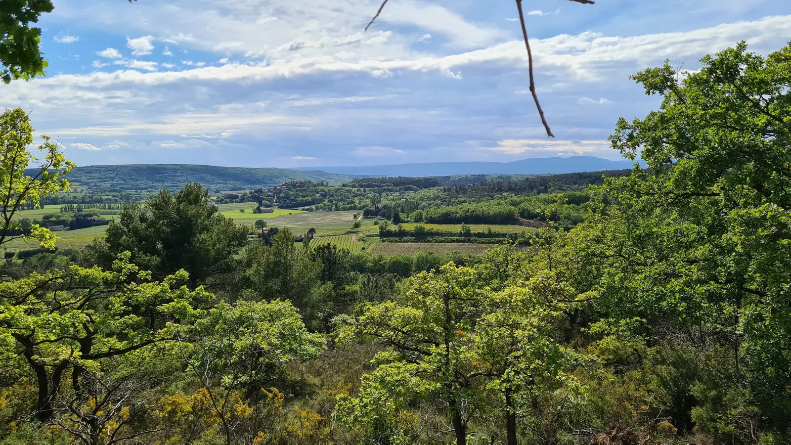 Randonnées , vélo dans les environs