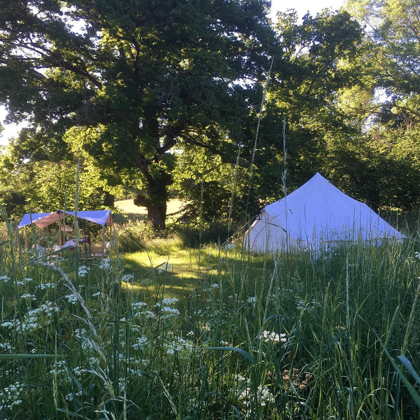 Une parenthèse au cœur de la nature