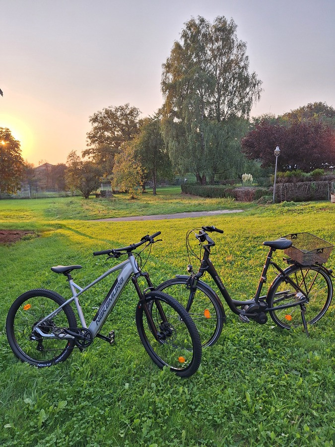 Location de 2 vélos électriques