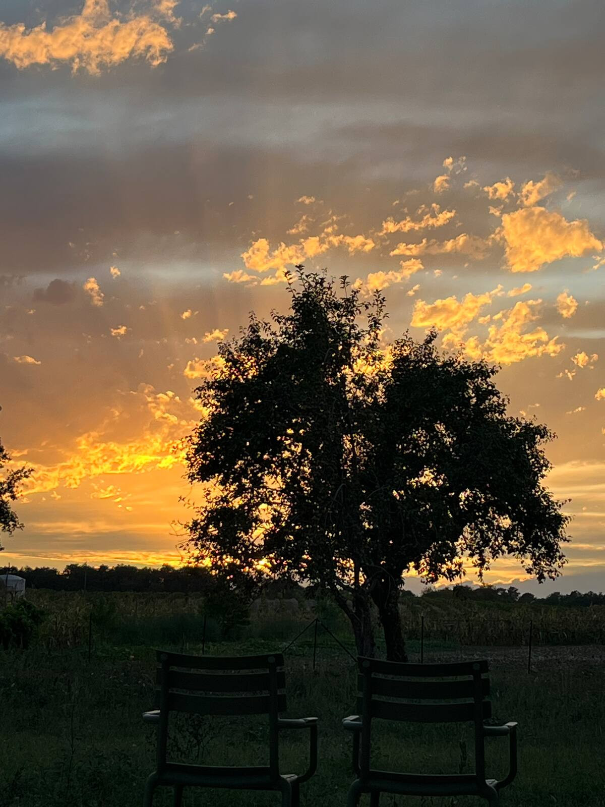 Ciel étoilé et vue sur le vignoble du Pécharmant